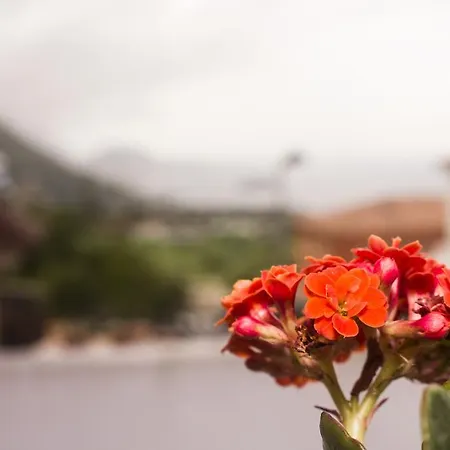 Casa Calendula